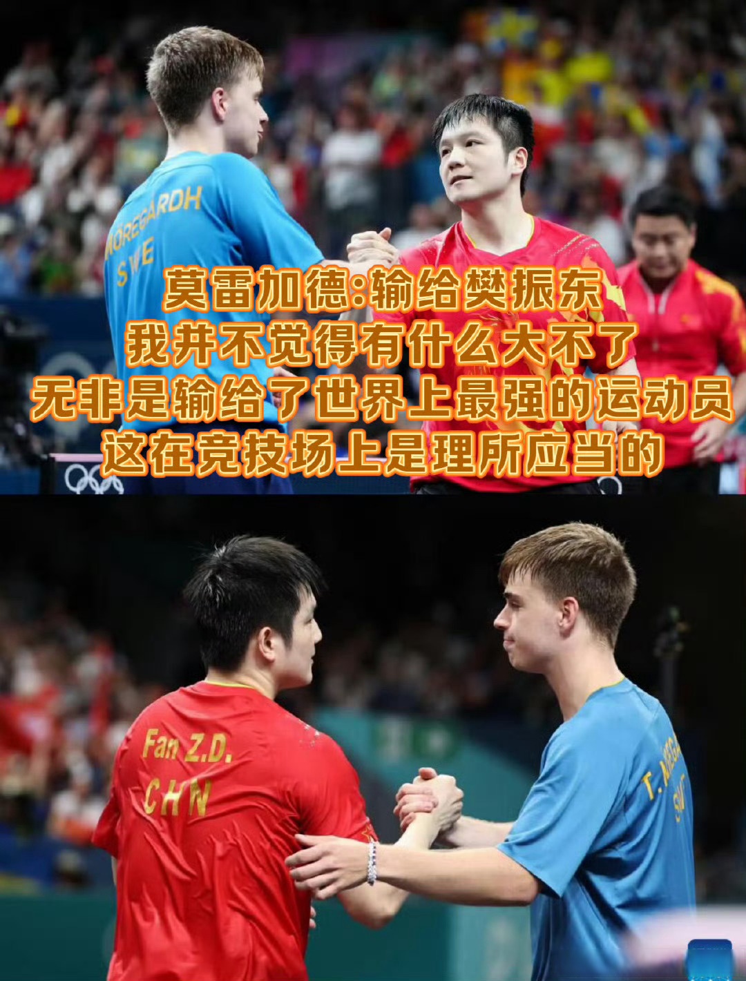 奥地利队力克波兰队，樊振东统治全场