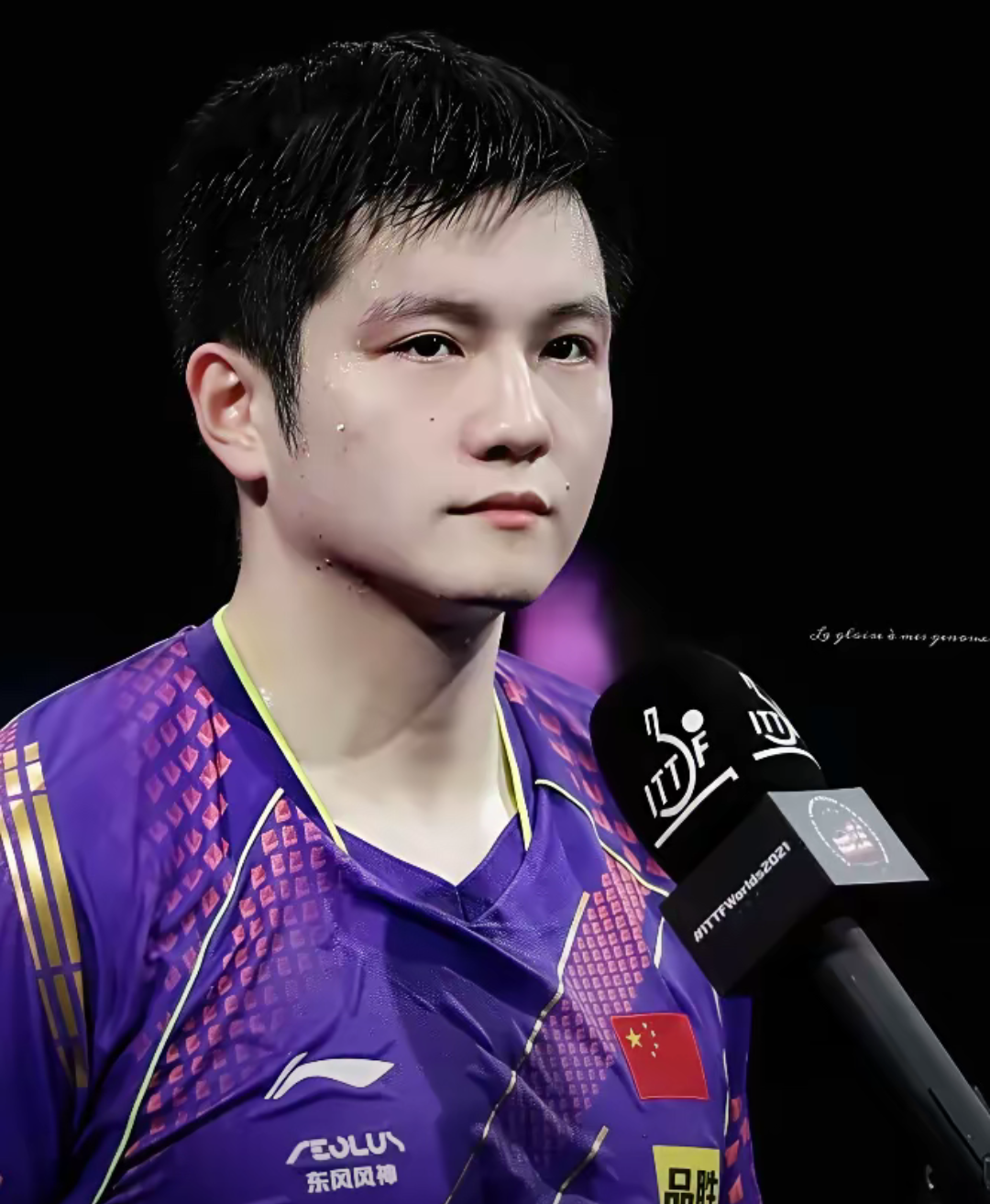 奥地利队力克波兰队，樊振东统治全场