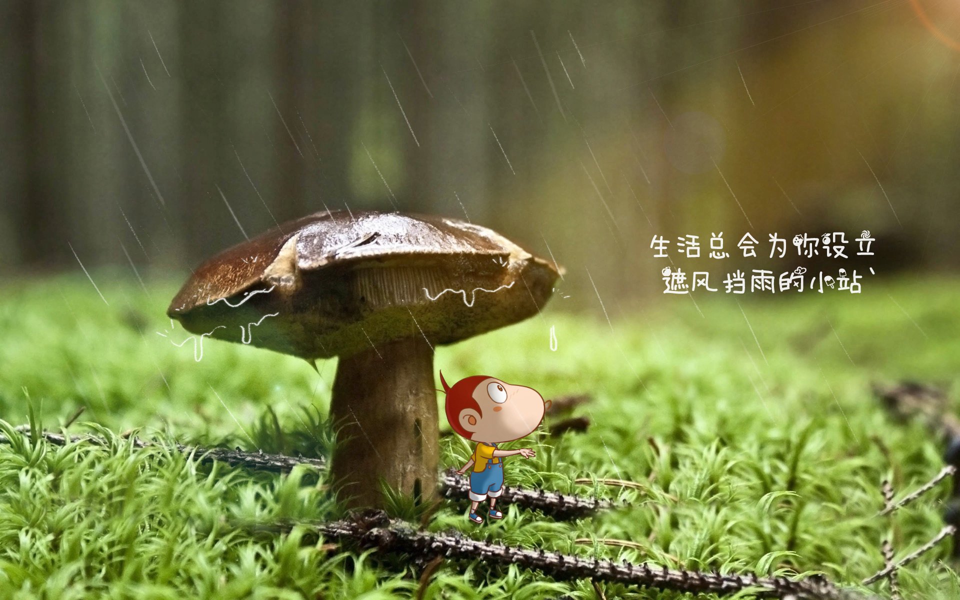 巨人狙击者，帕尔默两记穿云箭，巴萨力克非洲新贵安哥拉