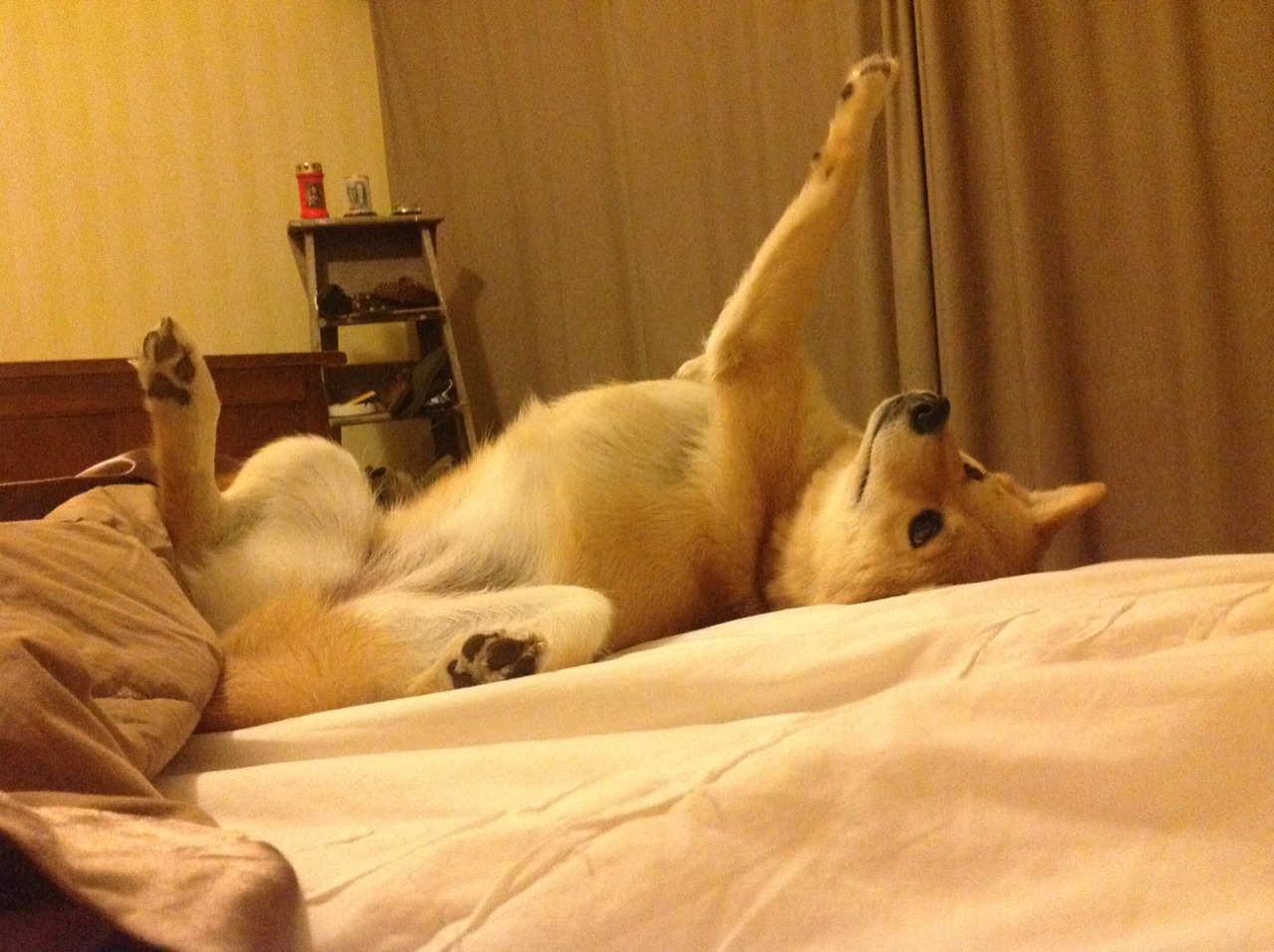 沙漠赌局与桑巴魔术，当维尼修斯在多哈的篮球场上跳起探戈