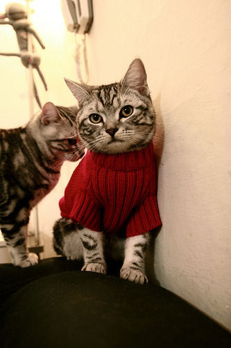 不响的枪声，德罗赞在圣安东尼奥的旧夜，射出致命的寂静