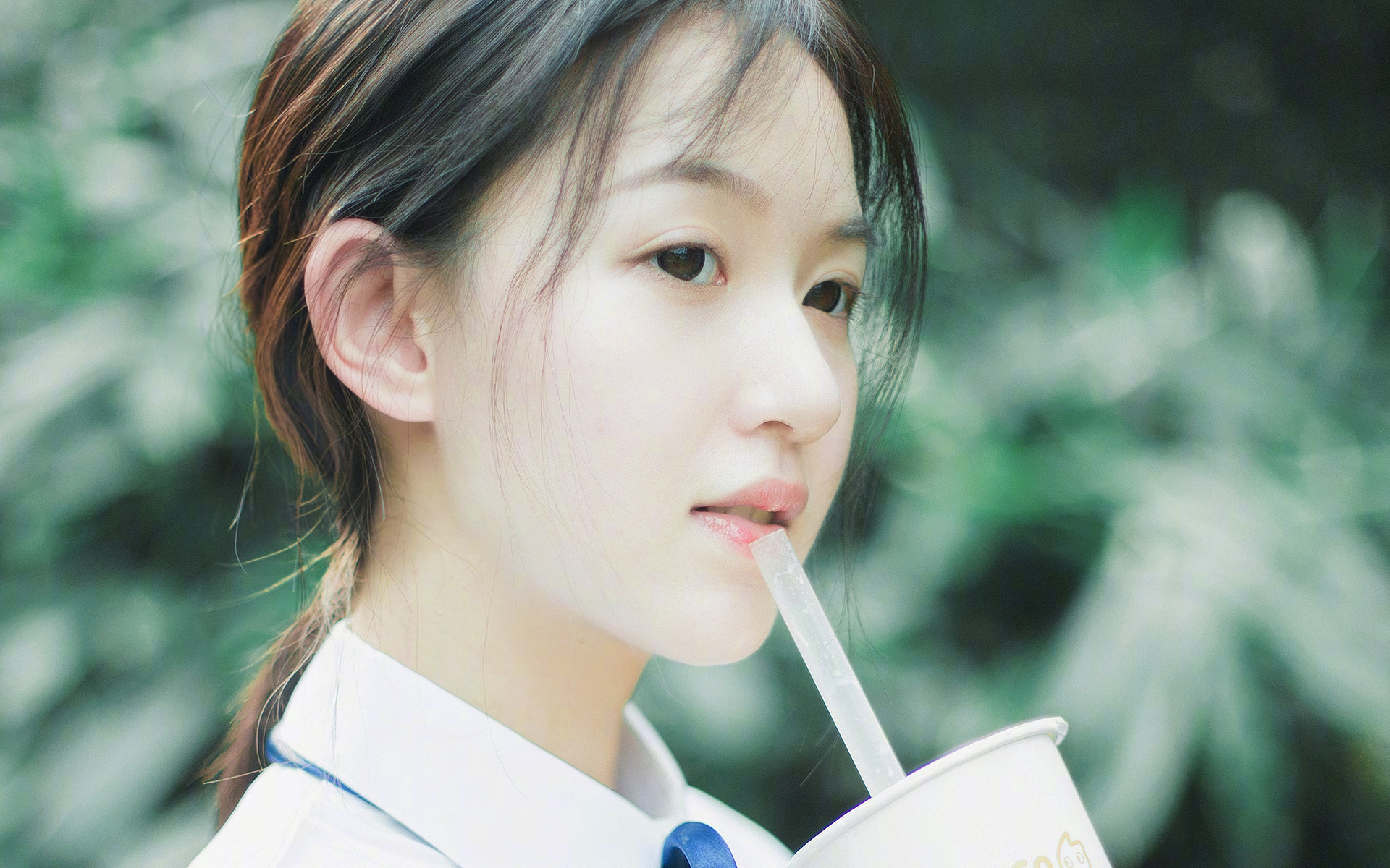 斗牛士之舞锁死跳羚之困，世界排名争夺战焦点战，西班牙完胜南非