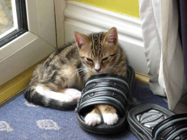 铁塔下的逆袭—劳塔罗一箭穿心，巴黎雨夜翻盘阿尔及利亚