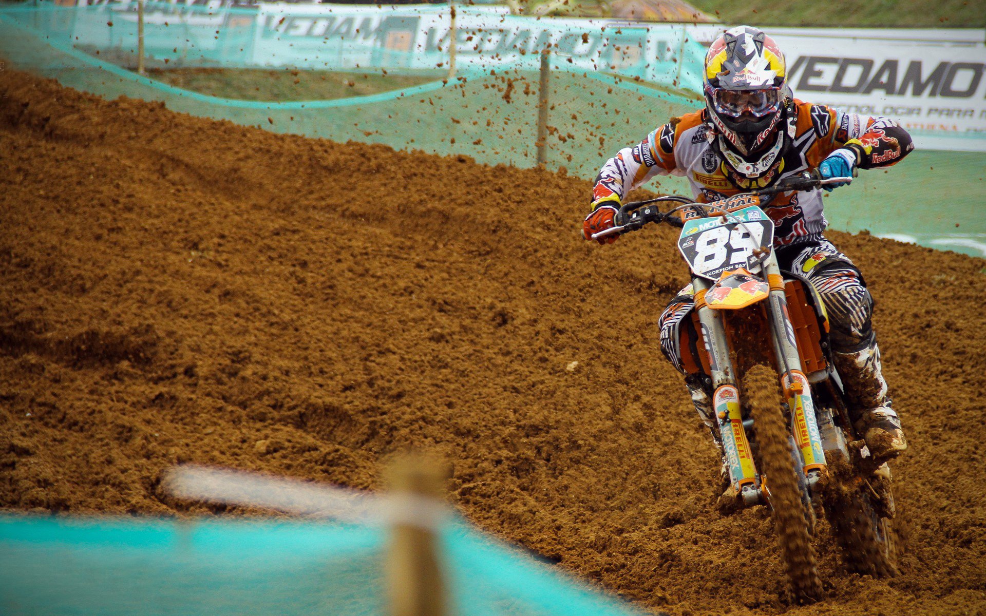 防线撕裂者，2026世界杯之夜，爱德华兹如何将战术铁幕化为齑粉