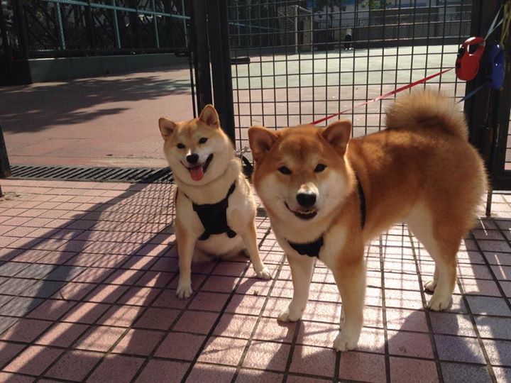 虚构边界,当德布劳内在阿根廷vs乌克兰中写下唯一剧本