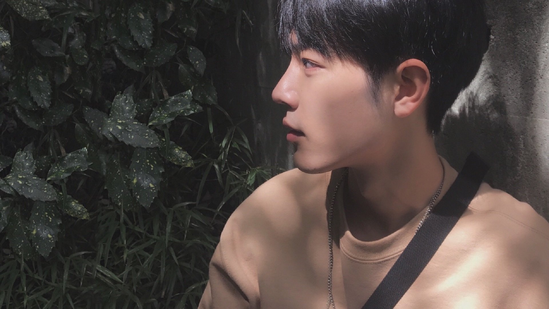 蜂刺穿甲，布克锐不可当的晋级之路