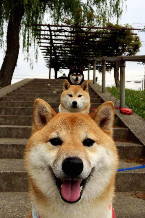 奥运前哨烽火起！铁骑踏破纽约城，关键战骑士掀翻尼克斯