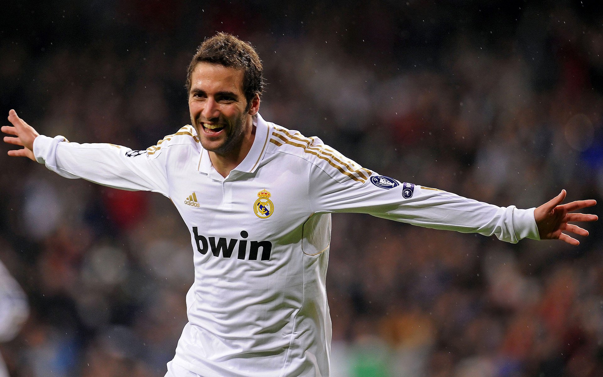 无价霍勒迪，在星光黯淡处点亮自己