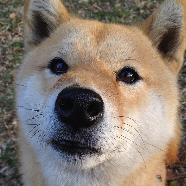 隐线与咆哮，当马拉多纳之城在赛道上接管乌拉圭